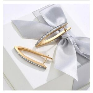 Gold Plated Hoop earrings